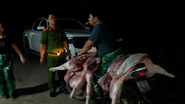 Lực lượng chức năng bắt quả tang hành vi vận chuyển lợn bệnh đã được giết mổ, mang ra chợ tiêu thụ. c967acede3f955a70ce8-5850.jpg