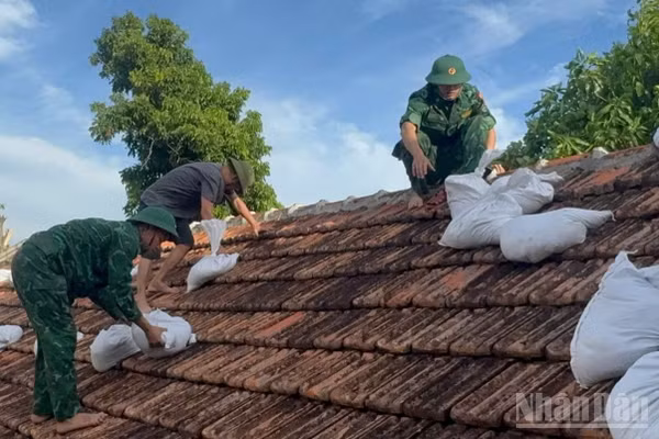 Cán bộ, chiến sĩ Đồn Biên phòng Cát Hải giúp người dân gia cố nhà cửa.