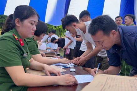 Nẻo về tươi sáng.