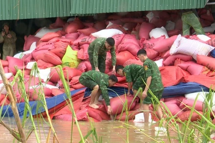 Biên phòng Hà Tĩnh giúp nhân dân thu dọn kho thóc của người dân xã Cổ Đạm.