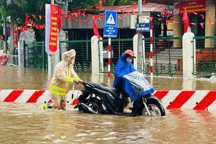 Hình ảnh đẹp trong mưa bão.