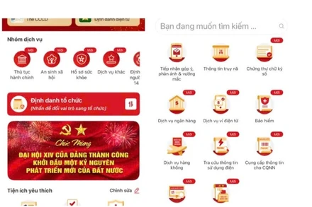 Chức năng Bầu cử Quốc hội trên VNeID.