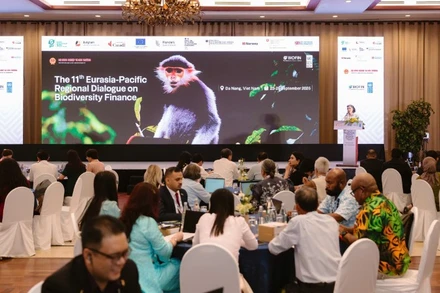 Đối thoại khu vực về tài chính đa dạng sinh học diễn ra tại Đà Nẵng.