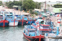 Tàu cá của ngư dân phường Ninh Chử (Khánh Hòa) được hướng dẫn cập cảng an toàn để tránh trú bão. (Ảnh: NGUYỄN TRUNG)