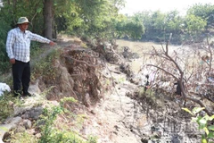 Nhiều điểm sạt lở bờ sông Lu để lại những vách đất dựng đứng, cây cối nghiêng ngả, bật gốc, trơ rễ, rất nguy hiểm. (Ảnh: NGUYỄN TRUNG)