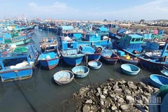 Một góc cảng cá Mỹ Tân, tỉnh Khánh Hòa. (Ảnh: NGUYỄN TRUNG)