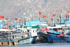 Tàu cá của ngư dân xã Cà Ná (Khánh Hòa) neo đậu an toàn, chuẩn bị cho việc sửa chữa. (Ảnh: NGUYỄN TRUNG)