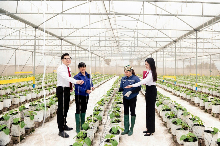 Agribank tăng cường nguồn lực cho khu vực “Tam nông” khẳng định cam kết đồng hành cùng các địa phương trong việc lan tỏa tài chính toàn diện, hướng đến một nền kinh tế bao trùm và phát triển bền vững. a4.jpg