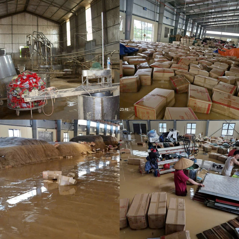 Xưởng miến của Hợp tác xã Việt Cường ngập hoàn toàn trong nước lũ. agr1.jpg