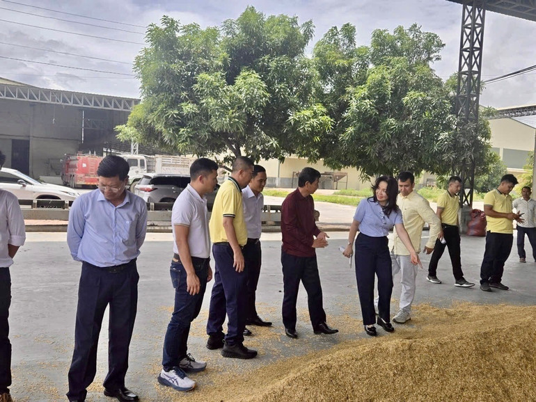 Phó Tổng Giám đốc Nguyễn Thị Hiền cùng đoàn công tác trao đổi trực tiếp với đối tác về chất lượng nguyên liệu và tập quán canh tác của nông dân Campuchia. ca-mau1.jpg