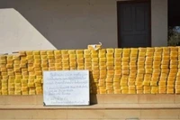 Lào ngăn chặn vụ vận chuyển ma túy với số lượng lớn.