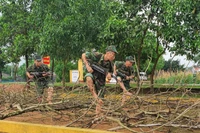 Sư đoàn 325 luôn coi trọng tổ chức huấn luyện theo phương châm “Cơ bản, thiết thực, vững chắc”. 