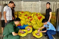 Các lực lượng chống buôn lậu gồm: Quản lý thị trường, Bộ đội biên phòng phát hiện, bắt giữ xe chở thực phẩm "bẩn" trên địa bàn huyện Lộc Bình (Lạng Sơn). 