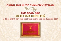 Tập đoàn BRG là tập đoàn kinh tế duy nhất của thành phố Hà Nội được trao tặng Cờ Thi đua Chính phủ năm 2024.