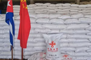 [Video] Trung Quốc hoàn tất hỗ trợ 30.000 tấn gạo cho Cuba