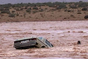[Video] Mưa lớn kỷ lục, Morocco sơ tán khẩn cấp hàng trăm nghìn người 