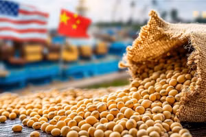 [Video] Trung Quốc đẩy mạnh chiến lược giảm phụ thuộc đậu nành Mỹ