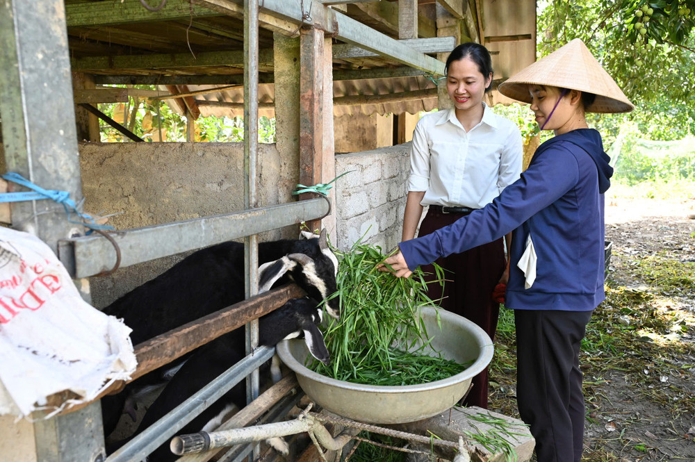 Nguyễn Thị Lan ở thôn 9, xã Hà Linh (người mặc áo xanh) tự tin vươn lên với mô hình nuôi dê sinh sản. 1000001057.jpg