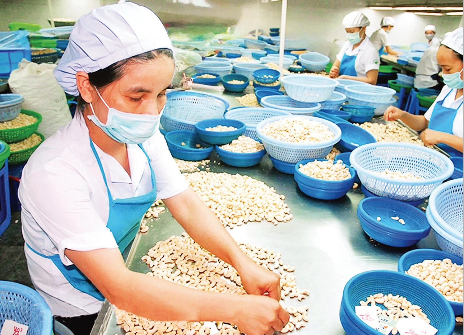 Xu hướng siết chặt tiêu chuẩn bao bì từ các thị trường nhập khẩu