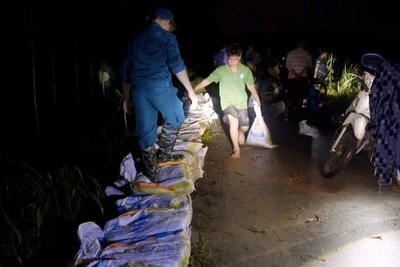 Quân và dân xã Tiên Lục trắng đêm đắp đê ngăn nước lũ.