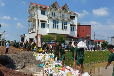 Gần 200 cán bộ, chiến sĩ Bộ chỉ huy quân sự tỉnh Bắc Ninh và Sư đoàn 3 khắc phục mạch đùn, mạch sủi tại trạm bơm Bầu, thôn Cẩm Bào, xã Xuân Cẩm.