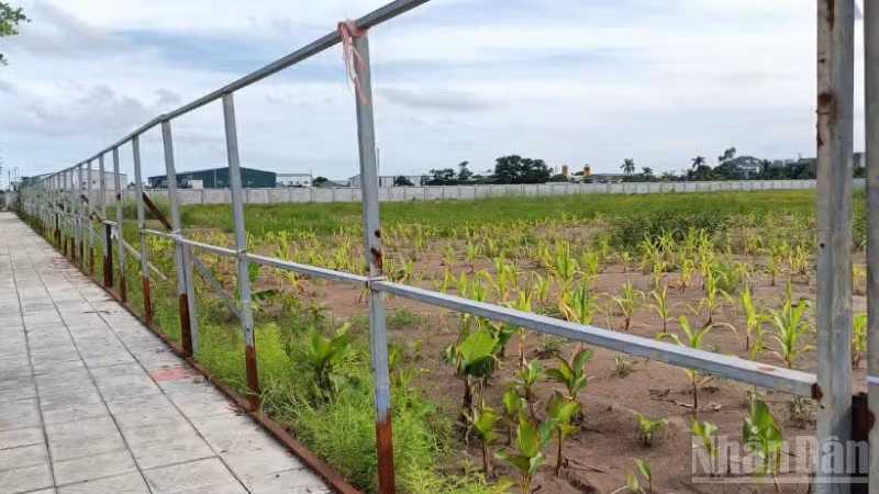 Một đoạn tường rào bao quanh Cụm công nghiệp Vũ Hội (tỉnh Hưng Yên) bị các đối tượng trên địa bàn phá hỏng hồi tháng 6/2025.
