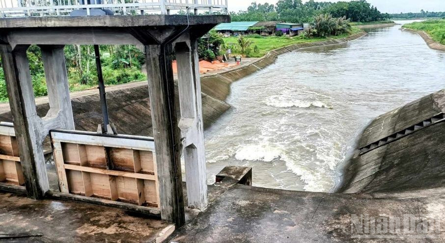 Các trạm bơm tiêu đang được vận hành hết công suất để tiêu nước trong nội đồng ra ngoài, tránh ngập úng khi có mưa bão. ndo_br_2-759.jpg