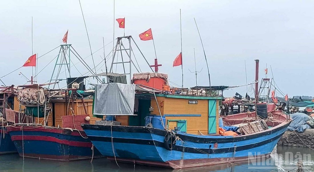 Tàu thuyền vào khu vực xã Hưng Phú (Hưng Yên) tránh trú bão. ndo_br_1-3140.jpg