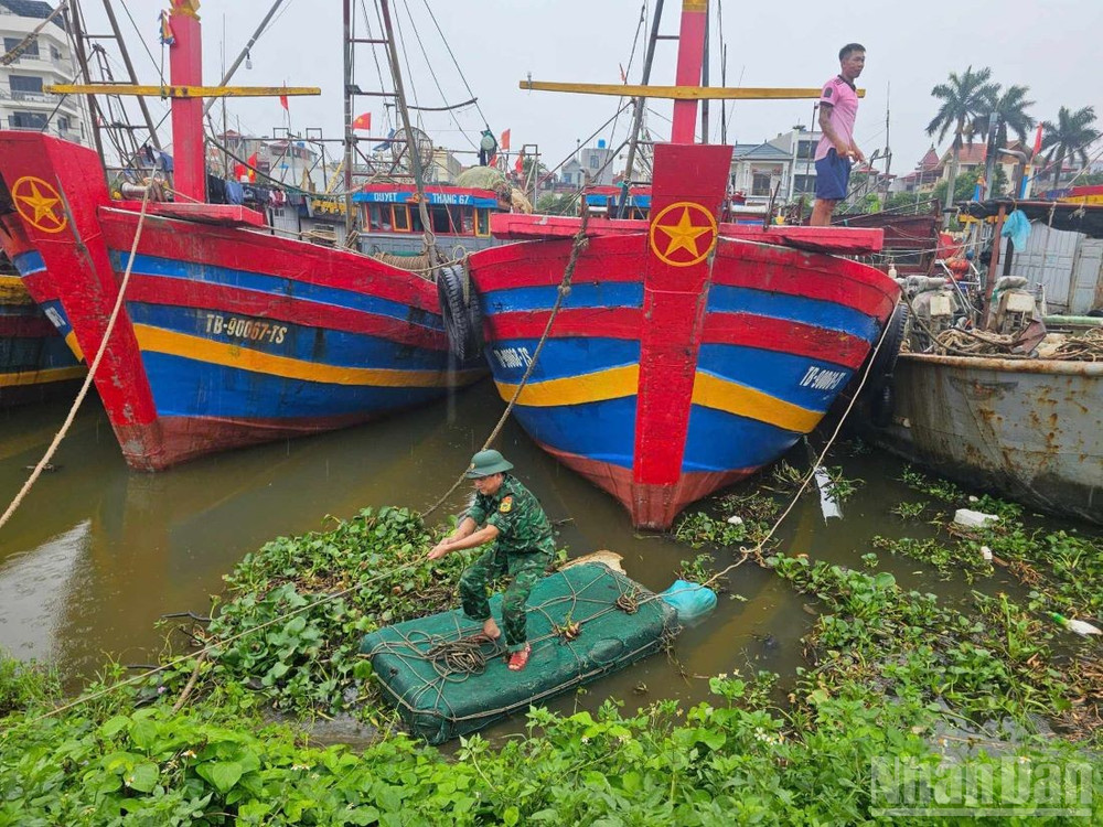 Bộ đội Biên phòng giúp ngư dân tời buộc, neo đậu tàu thuyền tại cảng cá Tân Sơn (xã Thái Thụy). ndo_br_2-2-3234.jpg