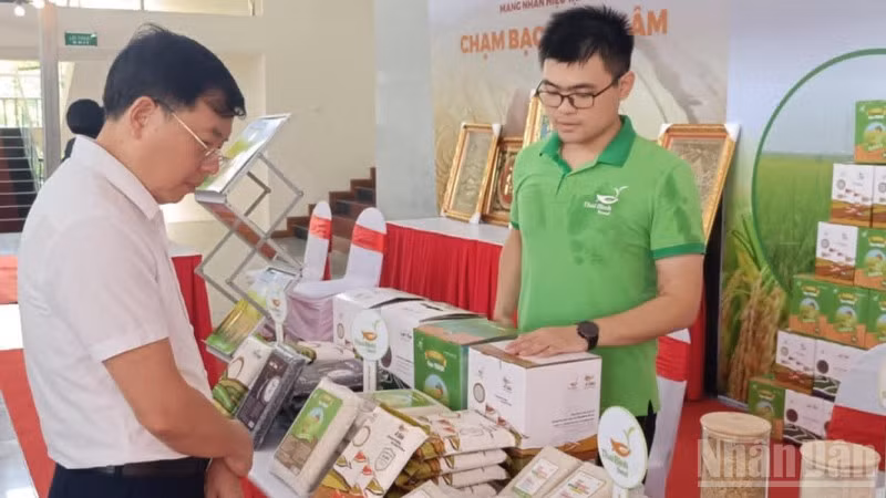 Các sản phẩm gạo chất lượng cao ở tỉnh Hưng Yên được lựa chọn hỗ trợ phát triển thương hiệu.