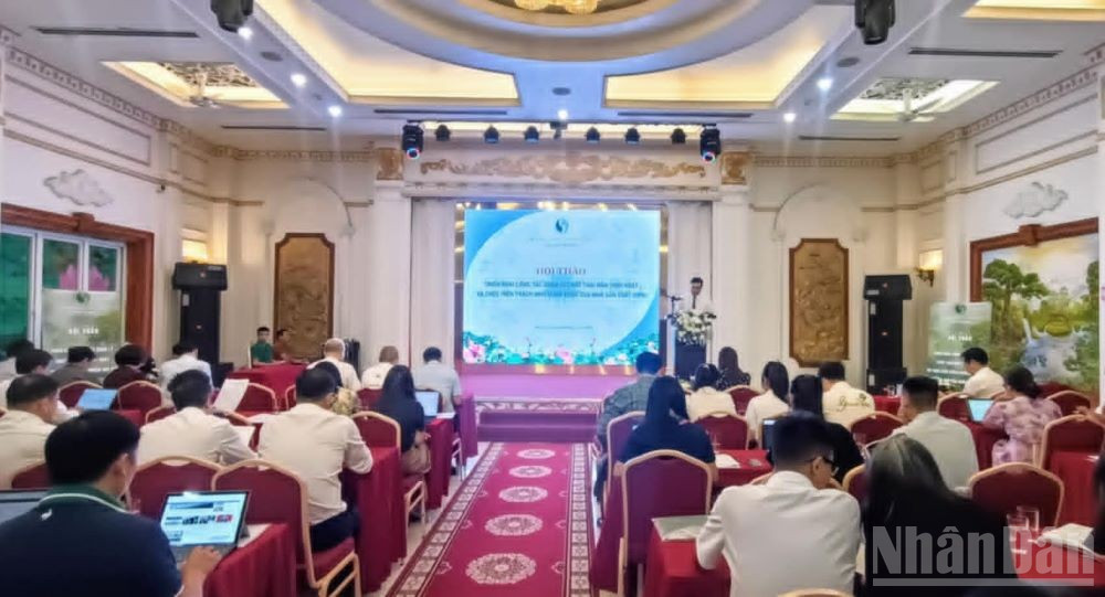 Quang cảnh Hội thảo. ndo_br_7.jpg