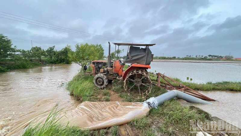 Xã Phụ Dực huy động máy bơm dã chiến tiêu úng nhanh trong nội đồng. ndo_br_4-2-1.jpg