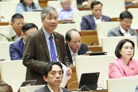 Đại biểu Nguyễn Anh Trí (Đoàn Hà Nội).