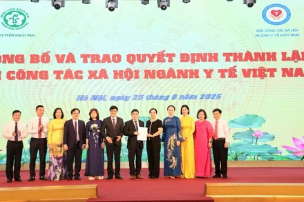 Đại diện Bộ Nội vụ trao quyết định thành lập Hội Công tác xã hội ngành y tế Việt Nam.