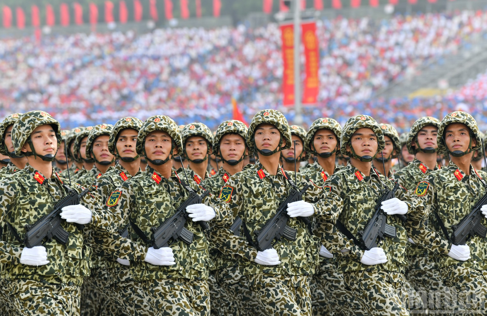 (Ảnh: DUY LINH) ndo_br_dsc-7390-2.jpg