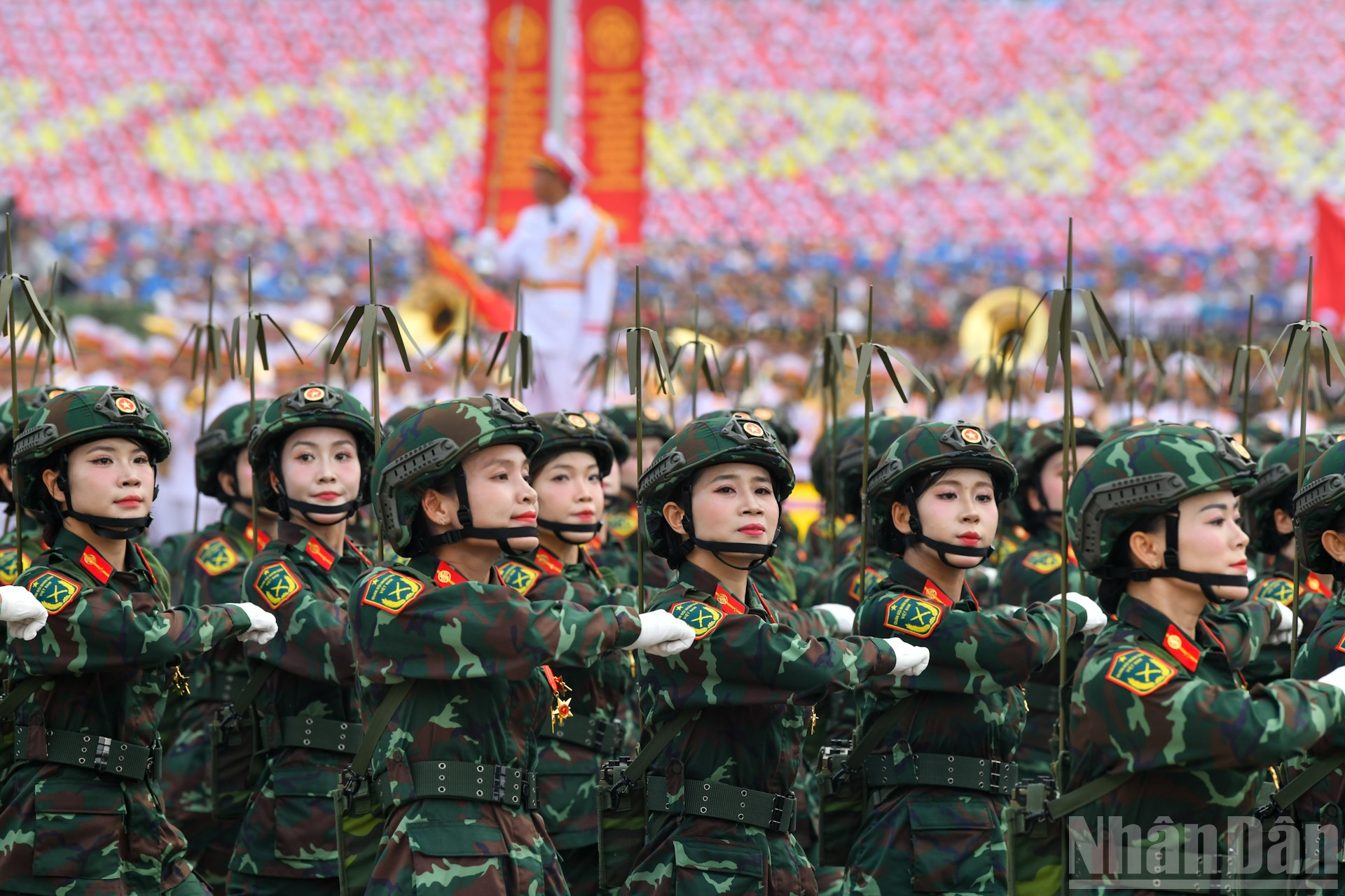 (Ảnh: DUY LINH) ndo_br_dsc-7457-2.jpg