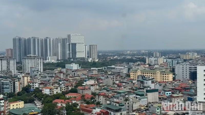 ndo_br_b12.jpg