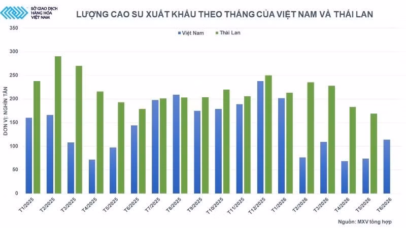 anh-6-luong-cao-su-xuat-khau-theo-thang-cua-viet-nam-va-thai-lan.jpg
