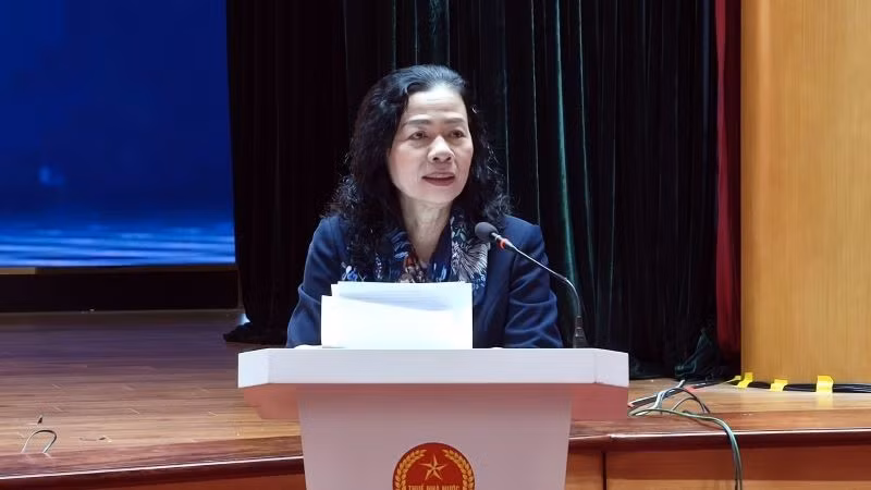 Bà Vũ Thị Mai-Chủ tịch VACPA phát biểu tại khóa tập huấn