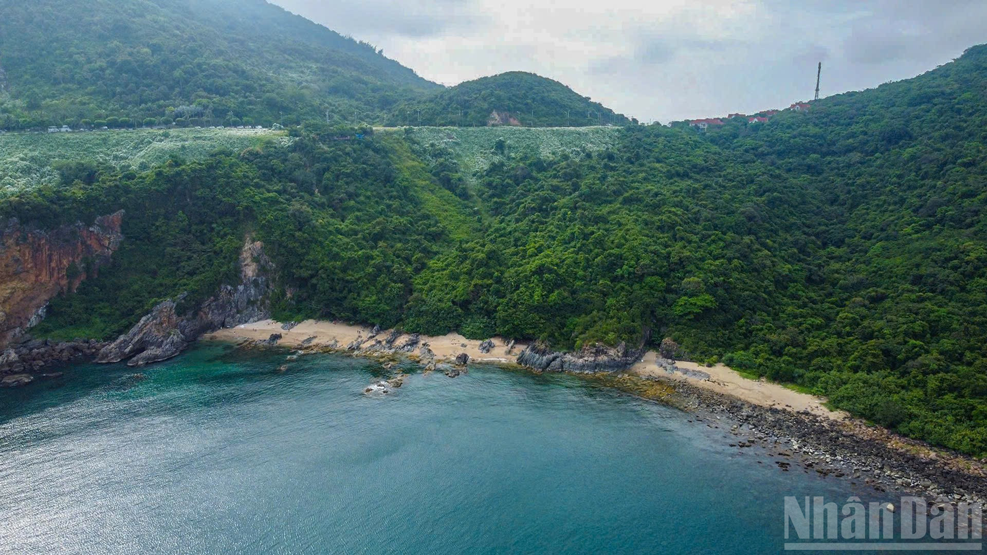 Các rừng nguyên sinh có tiềm năng lớn trong thị trường tín chỉ carbon. Trong ảnh là một góc bán đảo Sơn Trà - một trong những cánh rừng nguyên sinh tại Đà Nẵng. (Ảnh: PHAN HẢI TÙNG LÂM)