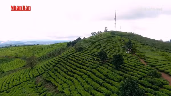 [Video] Đồng bộ giải pháp, tạo đột phá cho du lịch Việt Nam