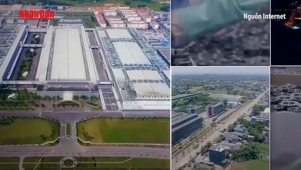 [Video] Hoàn thiện luật để thương mại điện tử phát triển bền vững