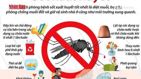 [Video] Chủ động phòng, chống sốt xuất huyết những tháng cuối năm