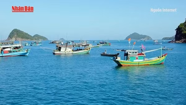 [Video] Du lịch Việt Nam tăng trưởng mạnh nhất thế giới nửa đầu 2025