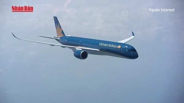 [Video] Máy bay Vietnam Airlines hạ cánh khẩn cấp tại Thổ Nhĩ Kỳ cấp cứu hành khách