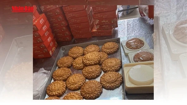 [Video] Đà Nẵng phát hiện hàng chục nghìn bánh trung thu vi phạm, hết hạn sử dụng