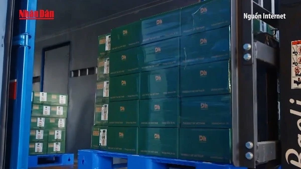 [Video] Thương mại điện tử xuyên biên giới – động lực mới cho xuất khẩu Việt Nam