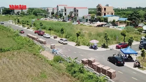 [Video] Bảo đảm tính hợp lý, ngăn chặn bỏ cọc khi đấu giá đất