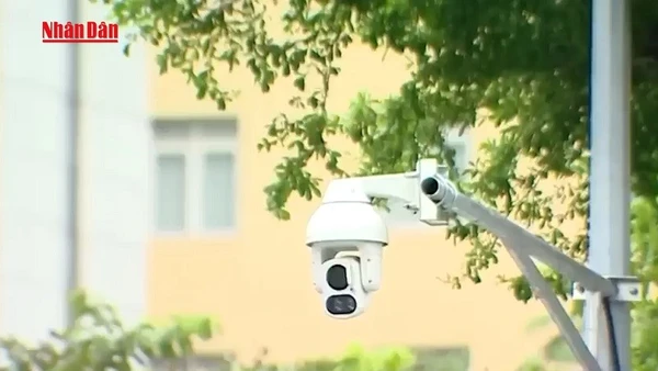 [Video] Thí điểm camera AI tại Hà Nội: Vi phạm giao thông "lộ diện" hàng loạt