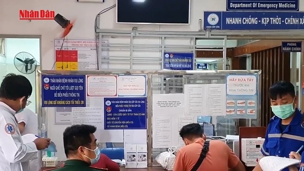 [Video] 100% bệnh viện công lập tại TP Hồ Chí Minh triển khai bệnh án điện tử